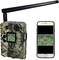 Camera and smartphone with a wildlife photo displayed on the screen. The camera has a camouflage pattern and an antenna, the photo shows an animal in the forest.