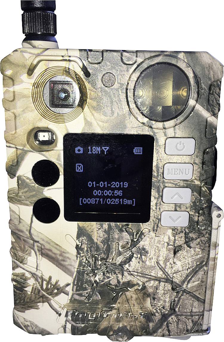 Compact wildlife camera with camouflage pattern. Displays screen with date '01-01-2019', time '00:00:56', and recording status. Buttons on the right.