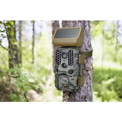 A camouflage wildlife camera is attached to a tree. It has a solar panel on top for power supply and is situated in a woodland environment.