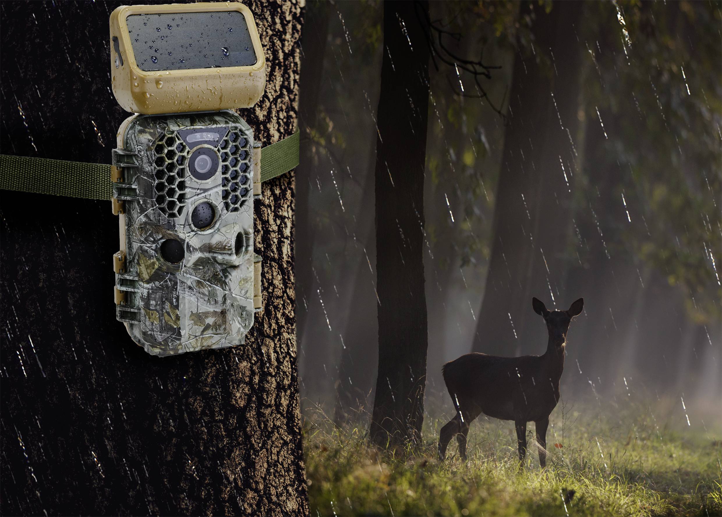 A camouflage wildlife camera is attached to a tree. To the right, a deer stands in the forest in the rain.