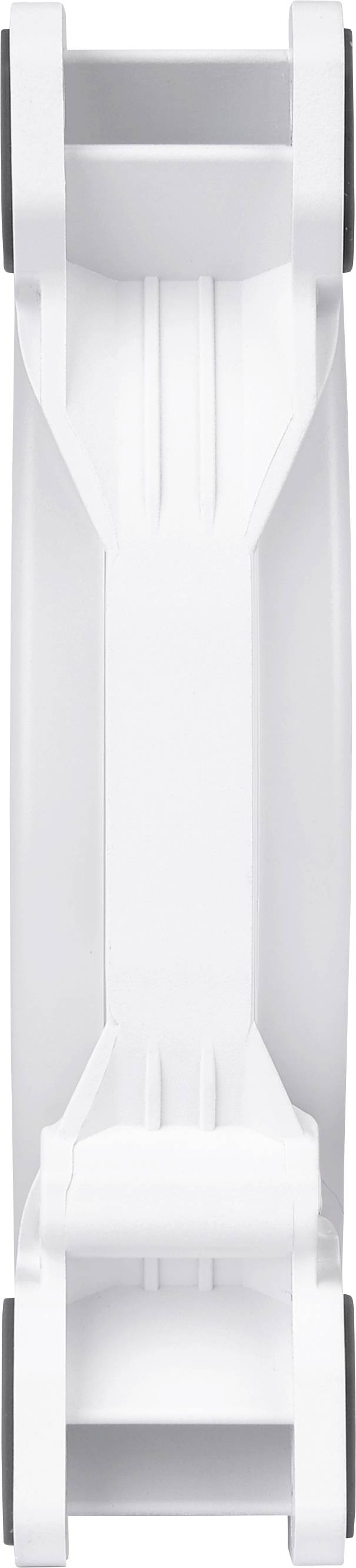 A white plastic luggage strap with black buckles at the ends, viewed from above.