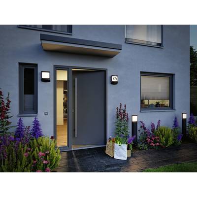 A modern house with a grey façade. The front door is open, with flowering plants to the left and right. A paper bag sits on the step.