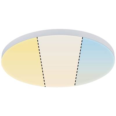 Circular LED lamp with three colour segments: yellow, neutral and blue, separated by dashed lines.