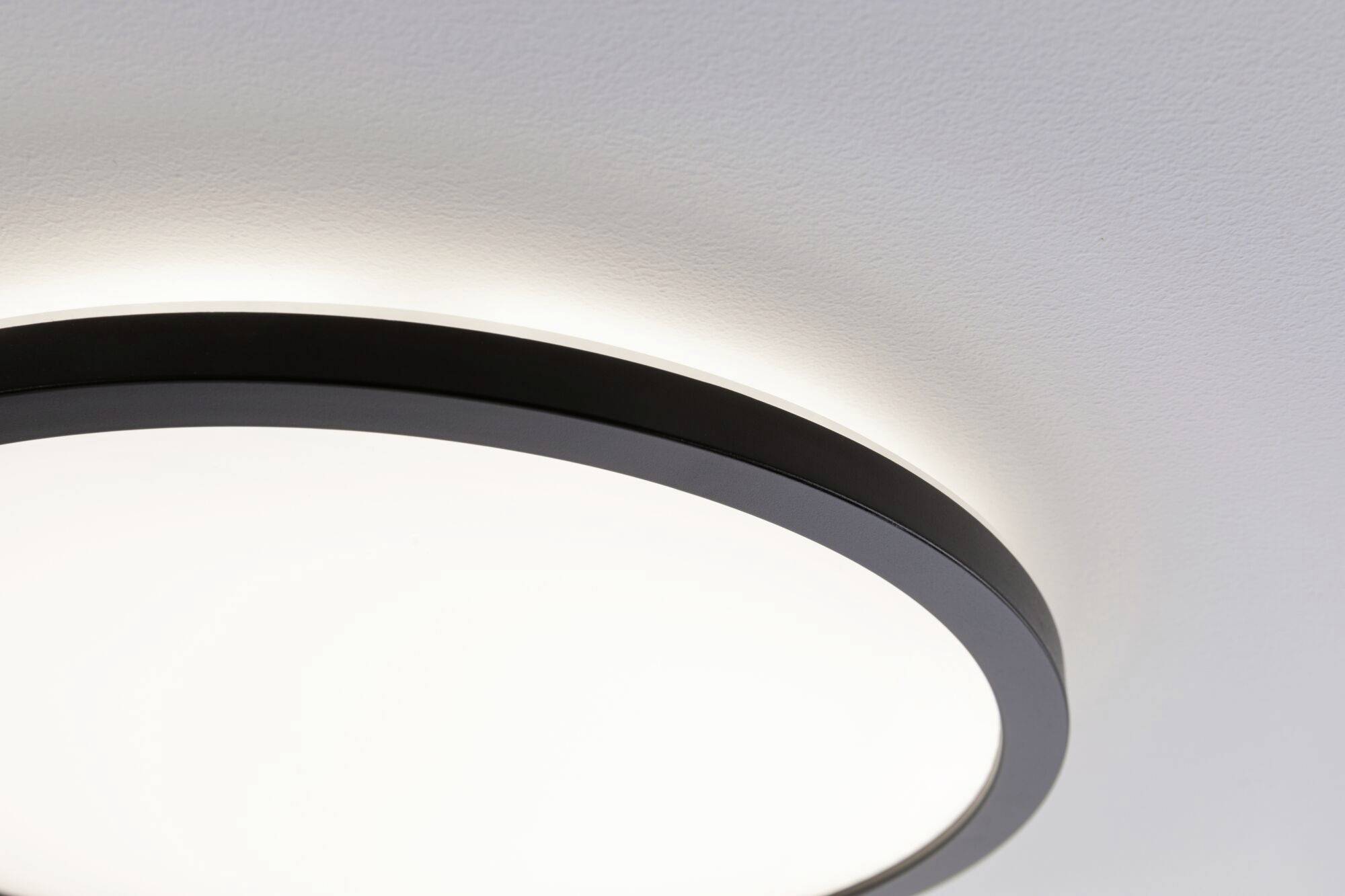 A round ceiling light with a black border, which shines brightly and emits uniform light across the ceiling.