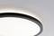 A round ceiling light with a black border, which shines brightly and emits uniform light across the ceiling.