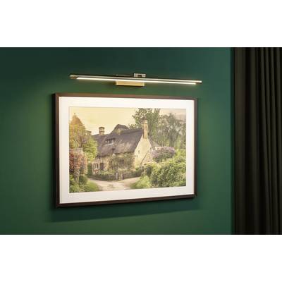 A framed photograph of a picturesque thatched cottage, surrounded by trees and bushes, hangs on a green wall.