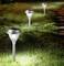 Three solar-powered garden lamps illuminate a lawn path at night. The lamps are evenly arranged along the path.