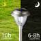 Solar light in a garden during day and night. Left: Sun with '10h charging', right: Moon with '6-8h illumination'.