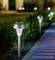 Two solar lights illuminate a paved path through a garden. Plants are clearly visible alongside the path.