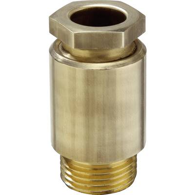 Metal valve with a hexagonal head and thread on the underside. It appears to be made of brass and is cylindrically shaped.