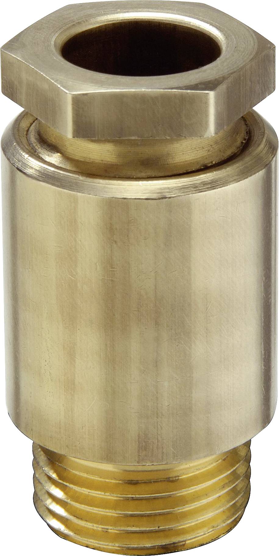 Brass non-return valve with a cylindrical shape. It has a threaded connection at the bottom and a hexagonal nut on top for securing.
