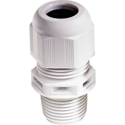 Wiska 10062657 Cable gland shockproof, with strain relief, with seal 1/2" NPT  Polyamide Grey-white (RAL 7035) 50 pc(s)