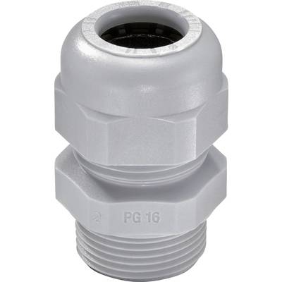 Wiska 10066008 Cable gland shockproof, with strain relief, with seal PG36  Polyamide Grey (RAL 7001) 10 pc(s)