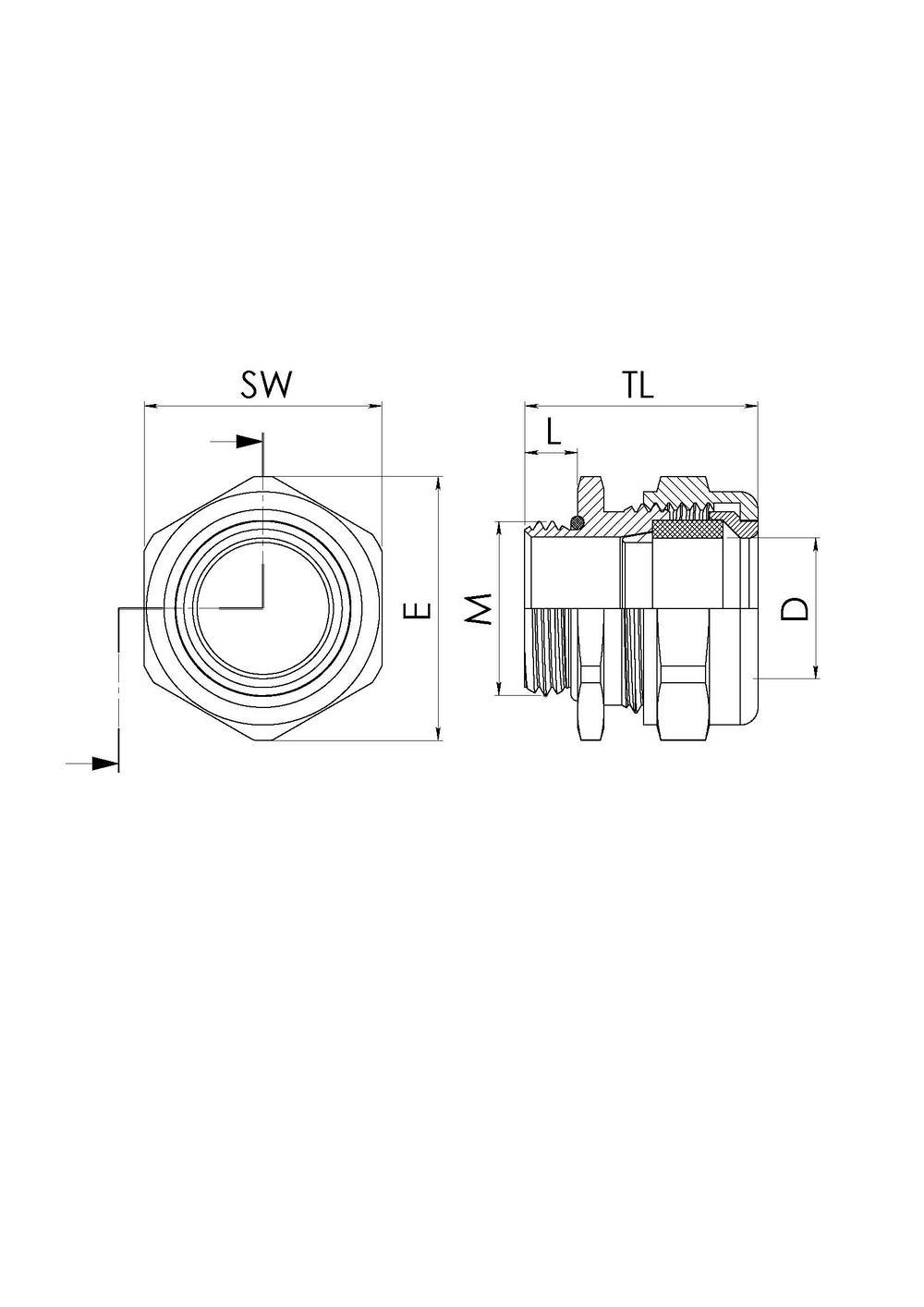 Technical drawing of a hexagonal screw adapter with dimensions: SW (spanner width), E, D, L, TL, M. Front view and cross-section.