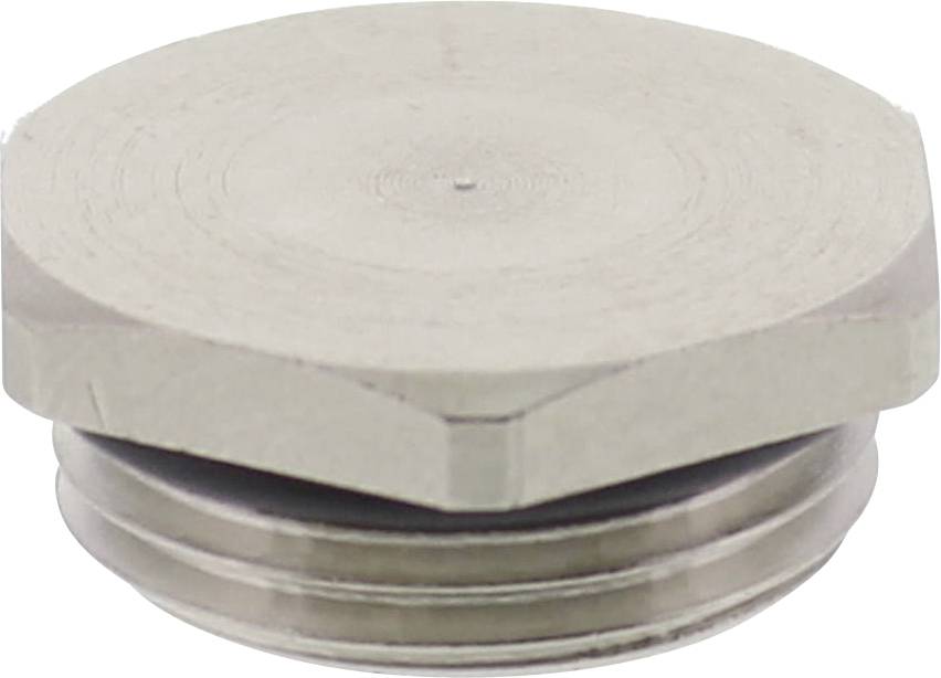 A silver-coloured, round metal plug with a hexagonal head and thread, suitable for pipe closures.