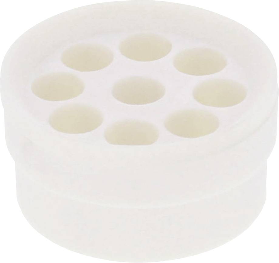 A round, white object with eight evenly distributed holes.