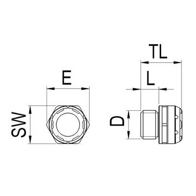 Technical Drawing: Two views of a Bolted Connection with labels for Diameter (D), Length (L), Spanner Size (SW), Thread Length (TL), and Circumference (E).