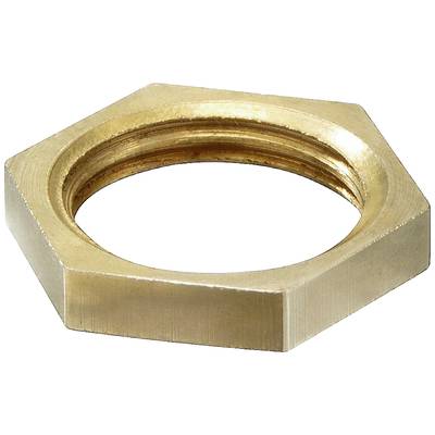 A hexagonal brass nut on a white background. It has a shiny finish and a central threaded opening.