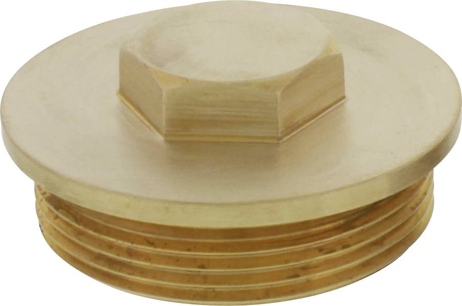 Brass hexagon-headed blanking plugs, used for sealing pipe connections or ports.
