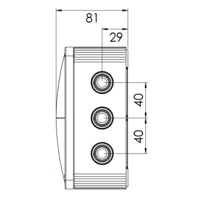 Technical drawing of a rectangular component with three round mounting holes, dimensions: width 81, spacing 40.