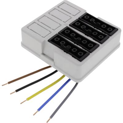 An electrical terminal block with six coloured wires: brown, red, yellow, blue, black and grey, protruding outwards.