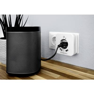 'An intelligent speaker is plugged into a wall socket mounted on a wooden surface. A plant is visible in the background.'