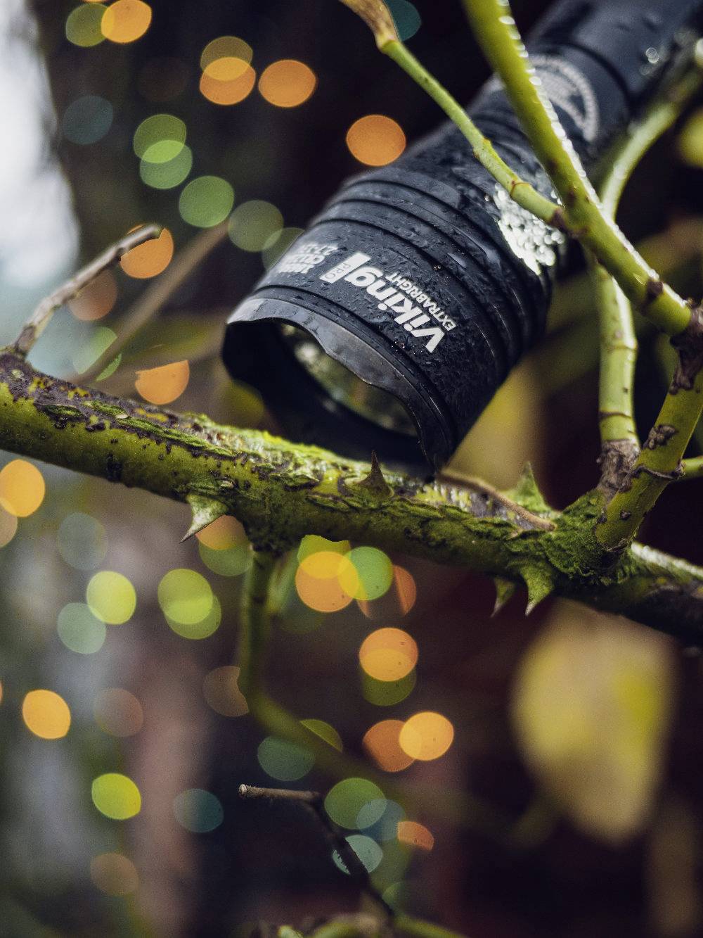 A torch hangs from a thorny branch, surrounded by colourful, blurred lights in the background.