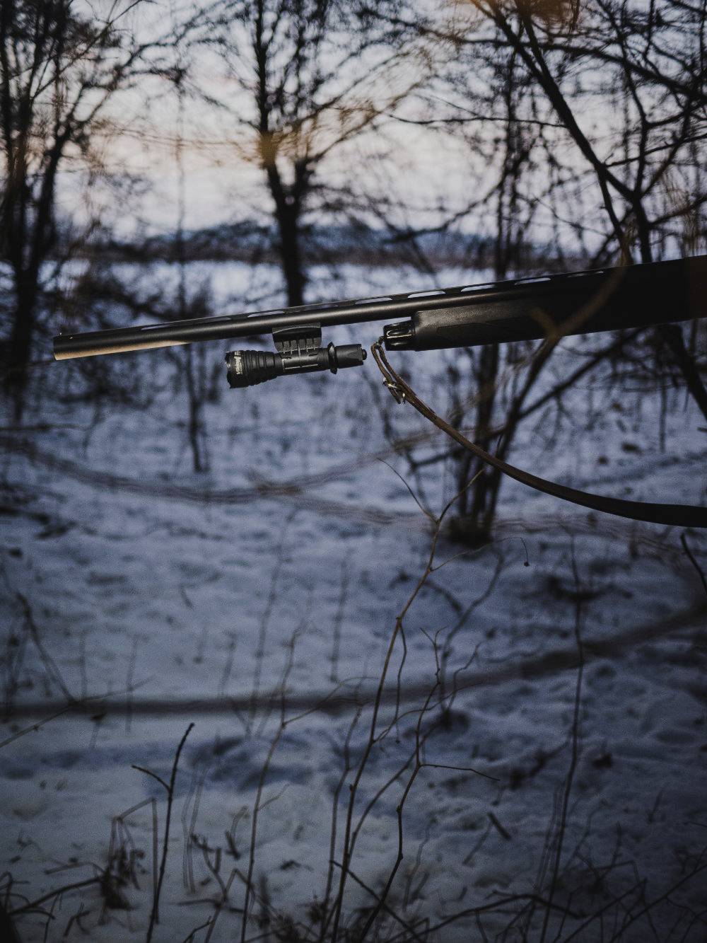 A rifle hangs from a branch in a snowy, sparse forest at dusk. Trees in the background, a serene winter atmosphere.