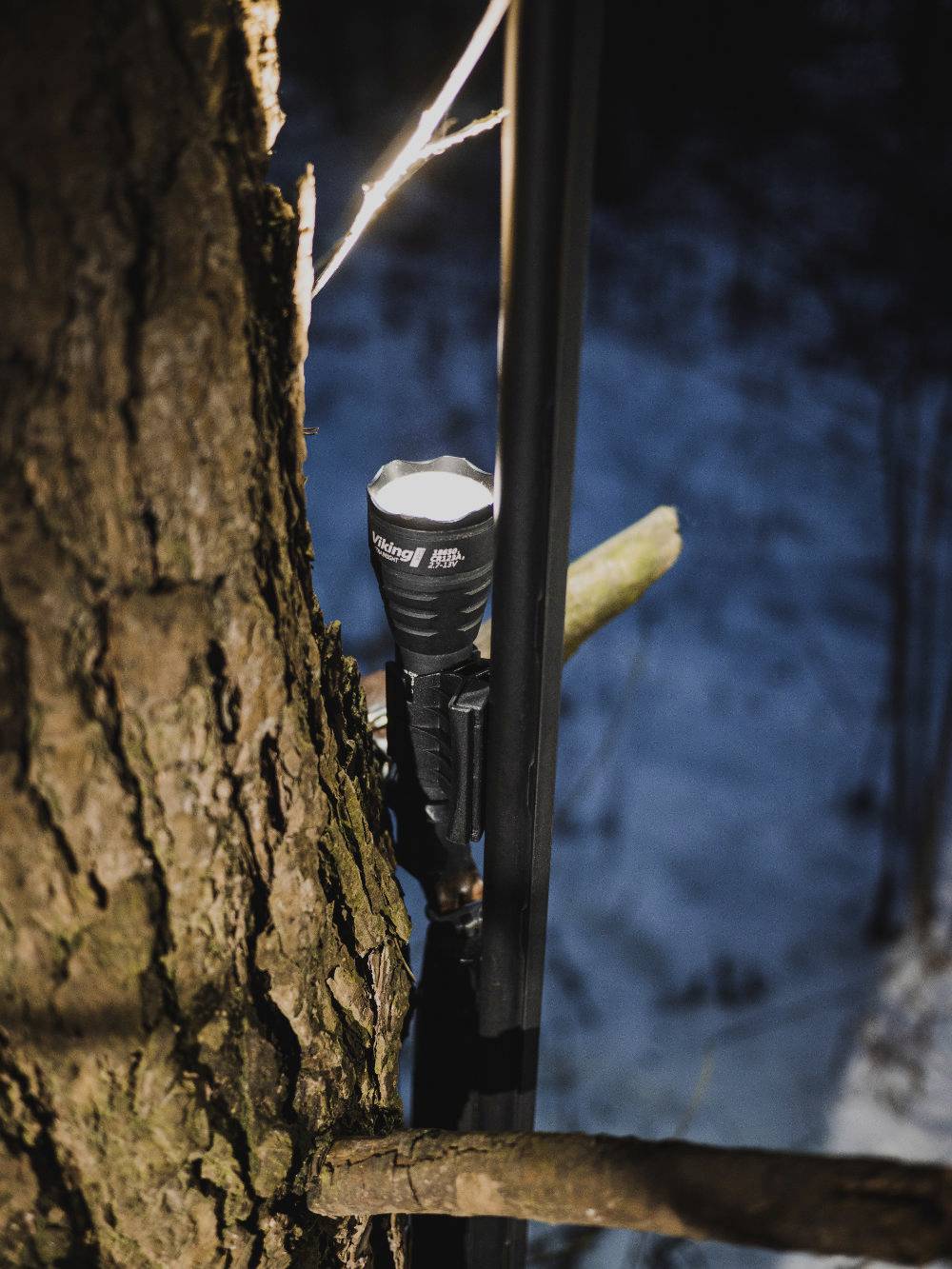 A torch is attached to a tree and shines into the darkness, with a wintry background visible all around.