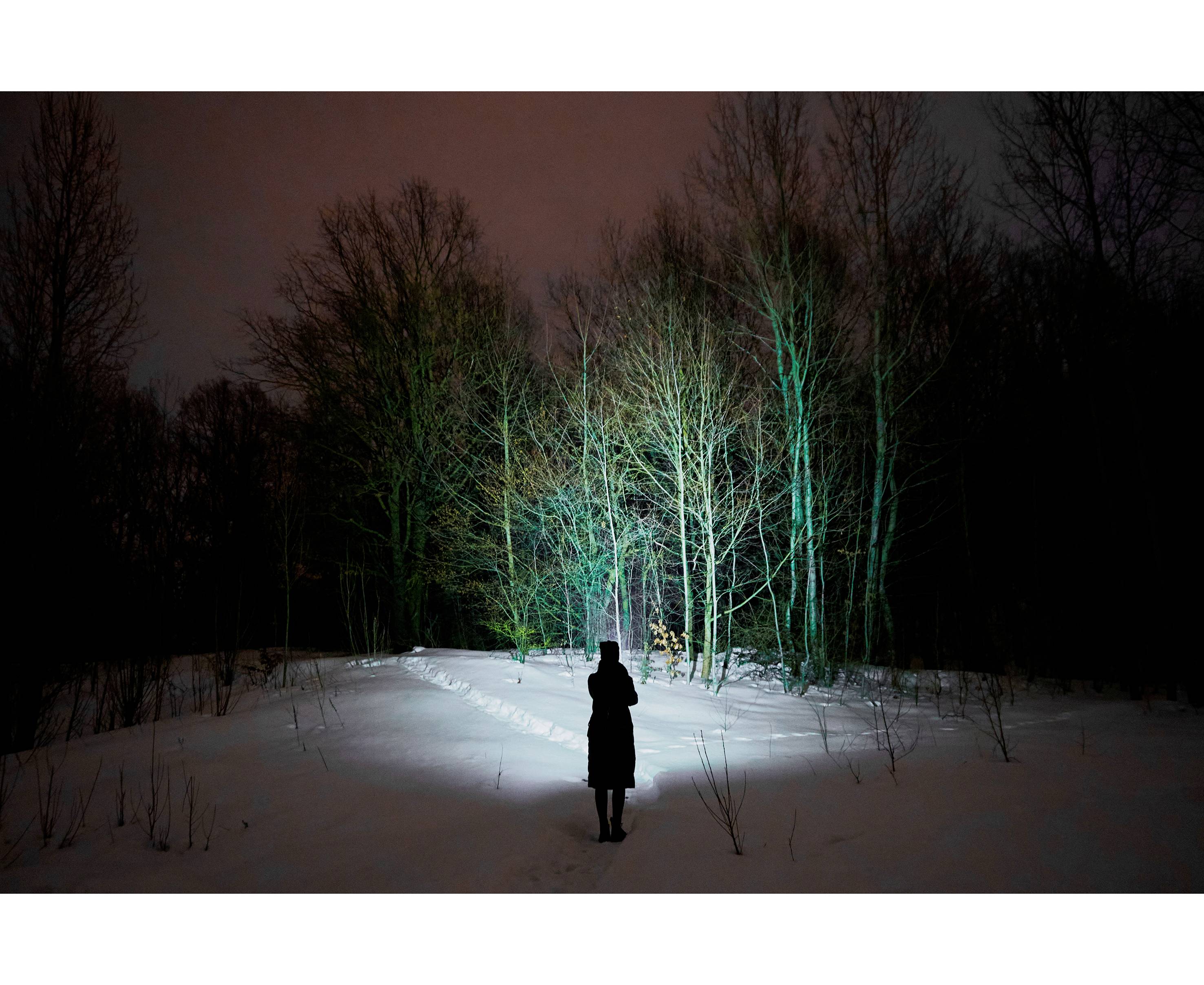 A person stands at night in the snow and shines a torch onto a group of trees that are softly illuminated.