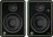Two black speakers with green edges, featuring a large and a small speaker in each unit, positioned side by side.