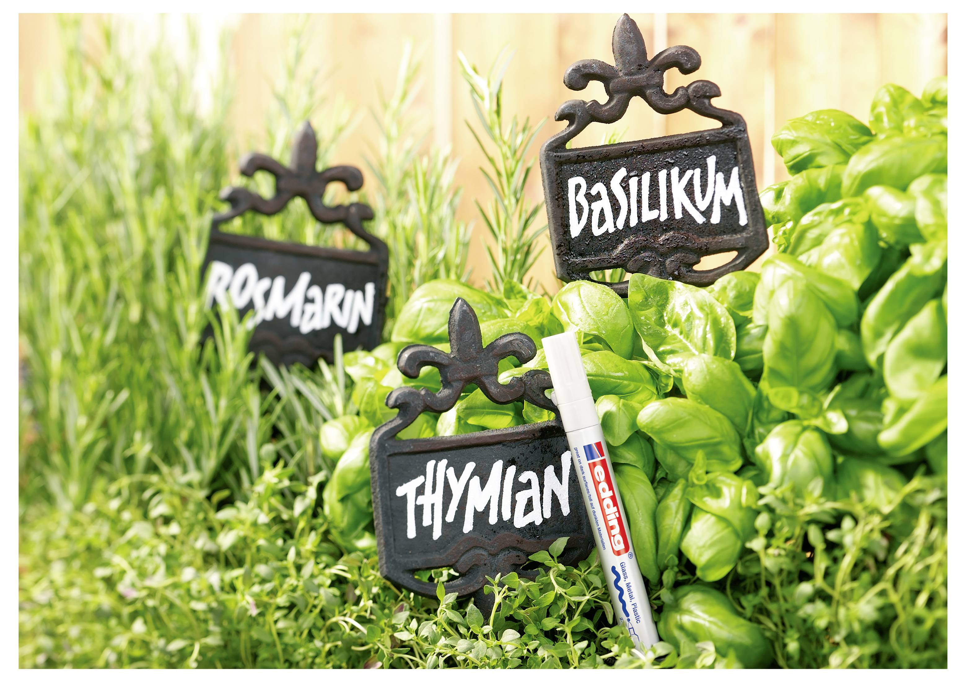 Potted herbs labeled 'Rosmarin', 'Thymian', and 'Basilikum', with basil, thyme, and rosemary plants growing densely together.