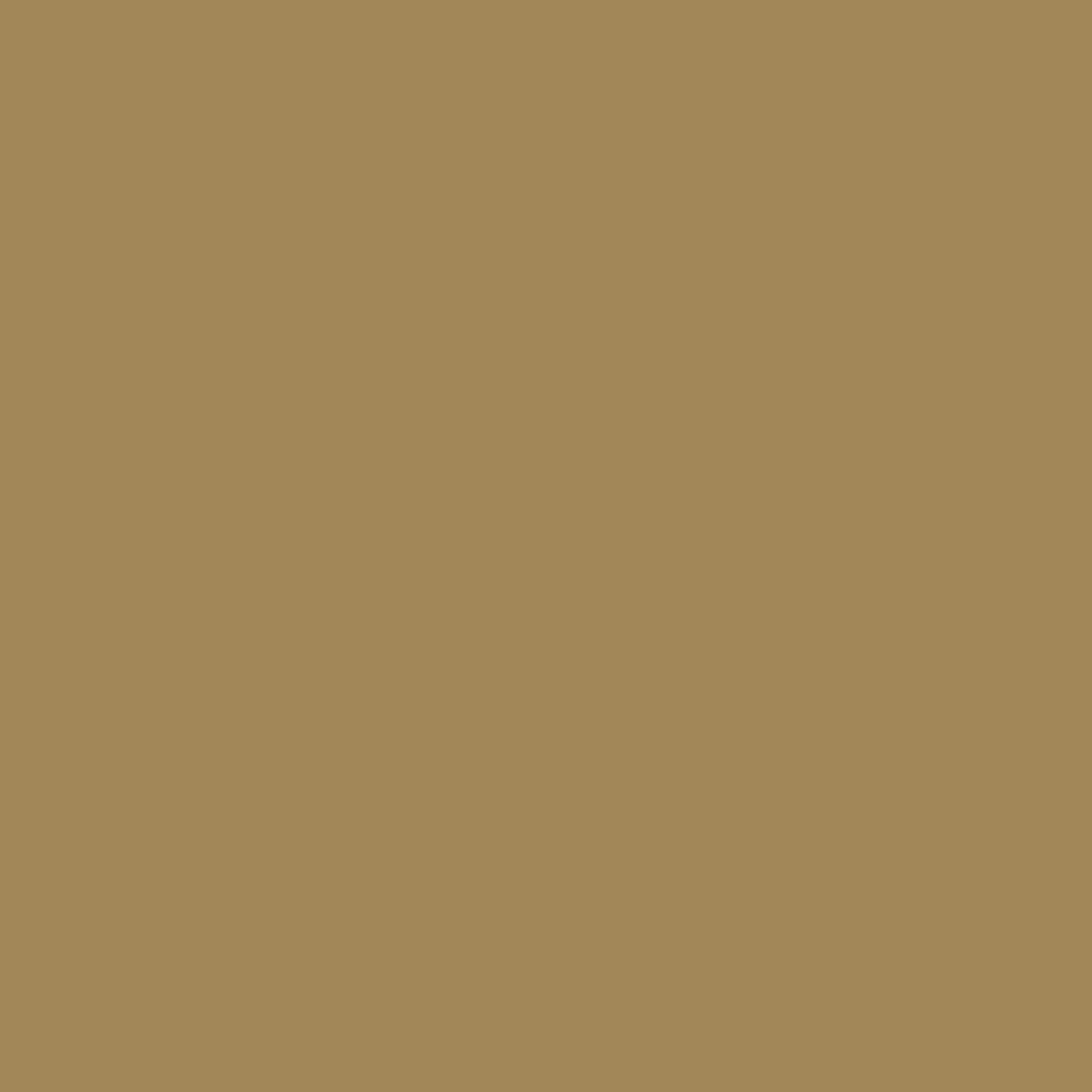 Plain orange surface without text or images.