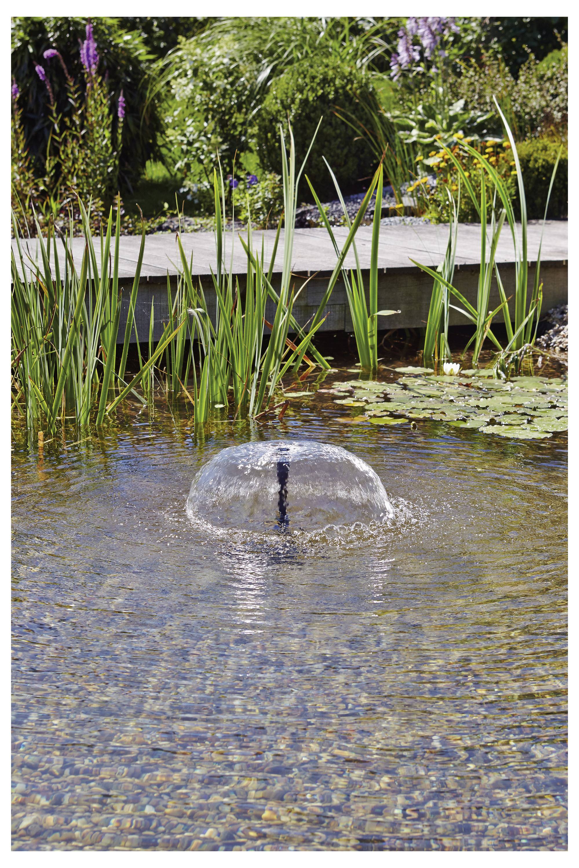 A tranquil garden pond with a small fountain, surrounded by lush greenery and flowers.