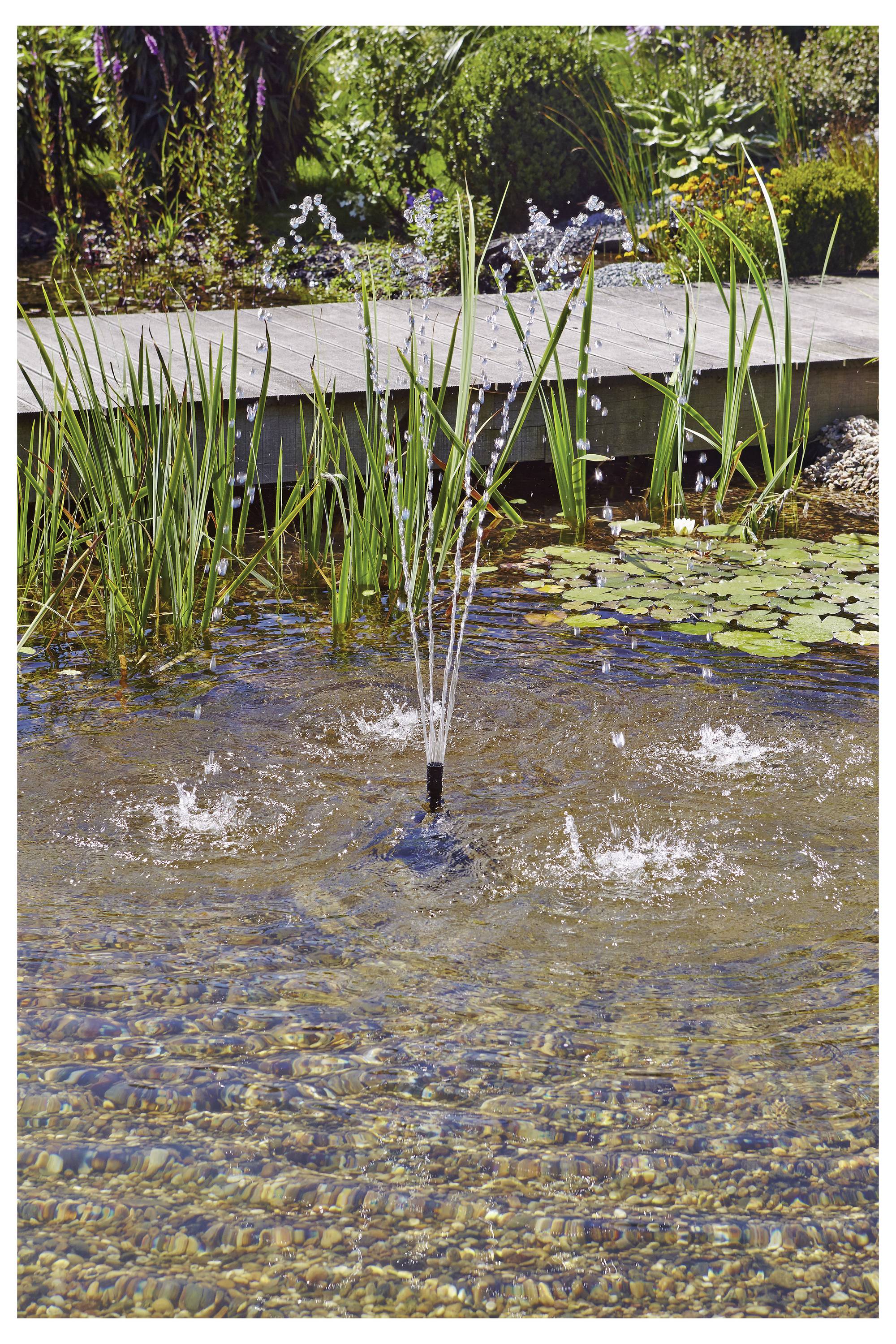 A garden pond with water lilies and a small fountain surrounded by tall grasses and flowers, under a clear sunny sky.