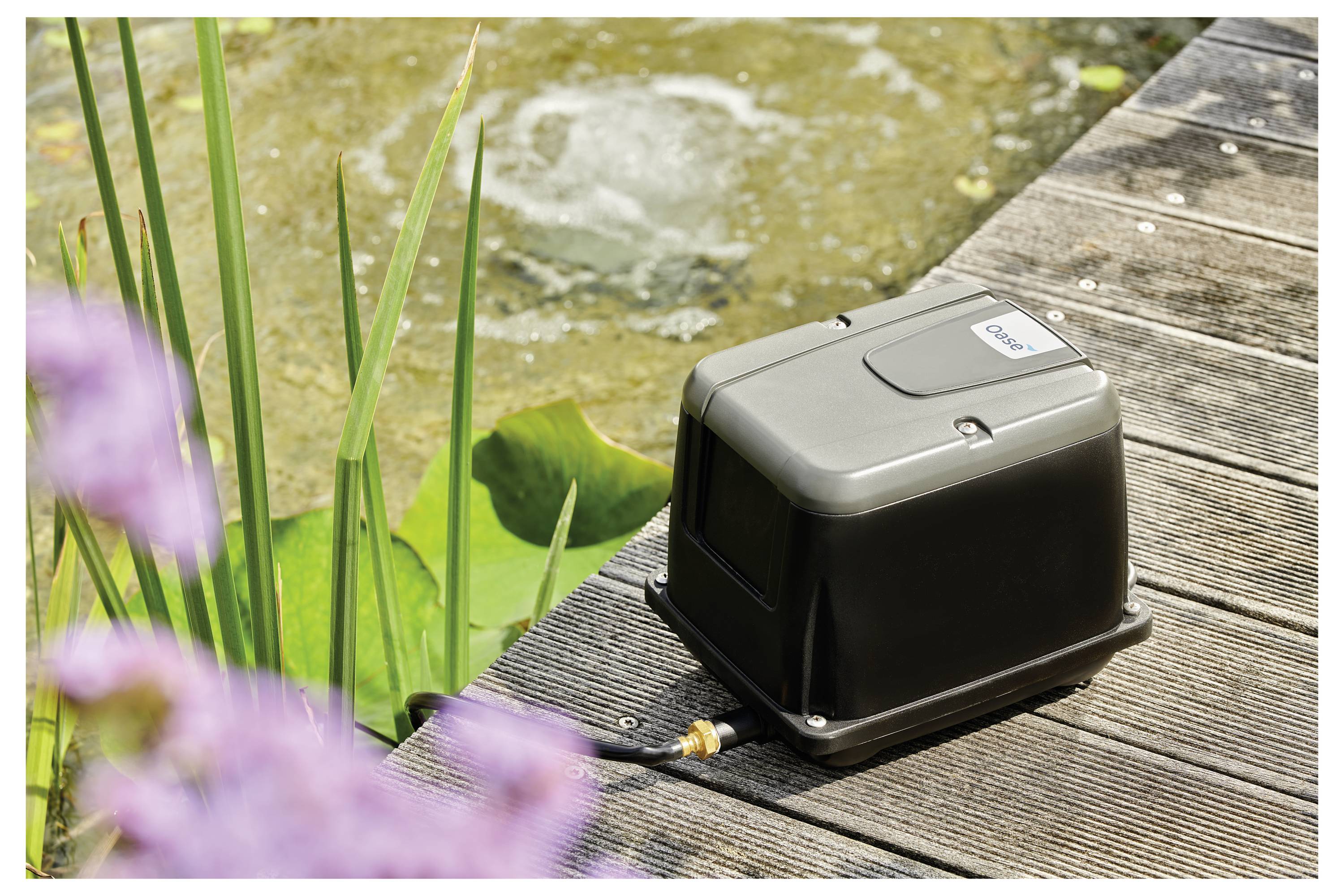 A small, black air pump sits on a wooden deck near a pond's edge, with green plants and pink flowers nearby.