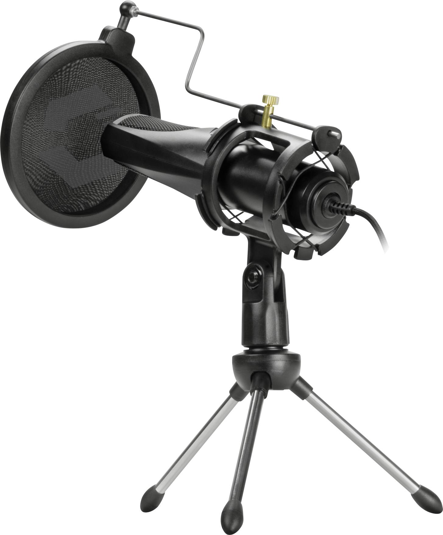 Black condenser microphone with pop filter and stand, ideal for studio recordings or podcasts, on white background.