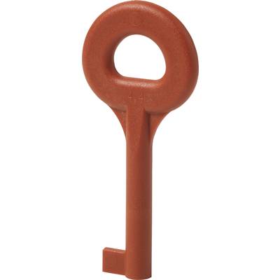 Siemens BPZ:4851910001 DMZ1195 Spare key 1 pc(s)