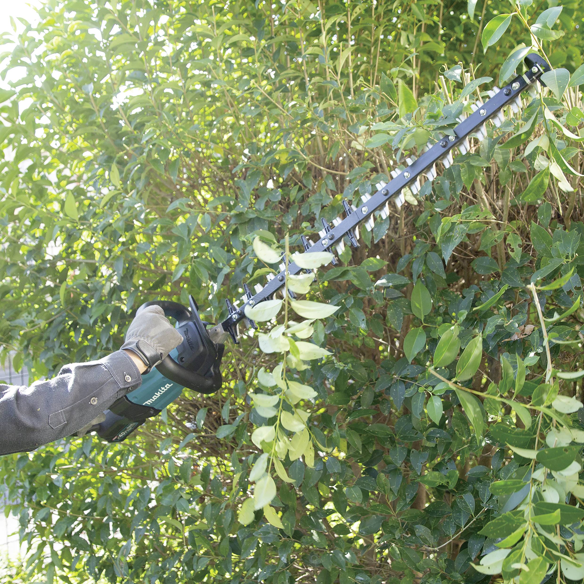 A gardener is using an electric hedge trimmer to cut a hedge. The right arm is wearing a work glove.