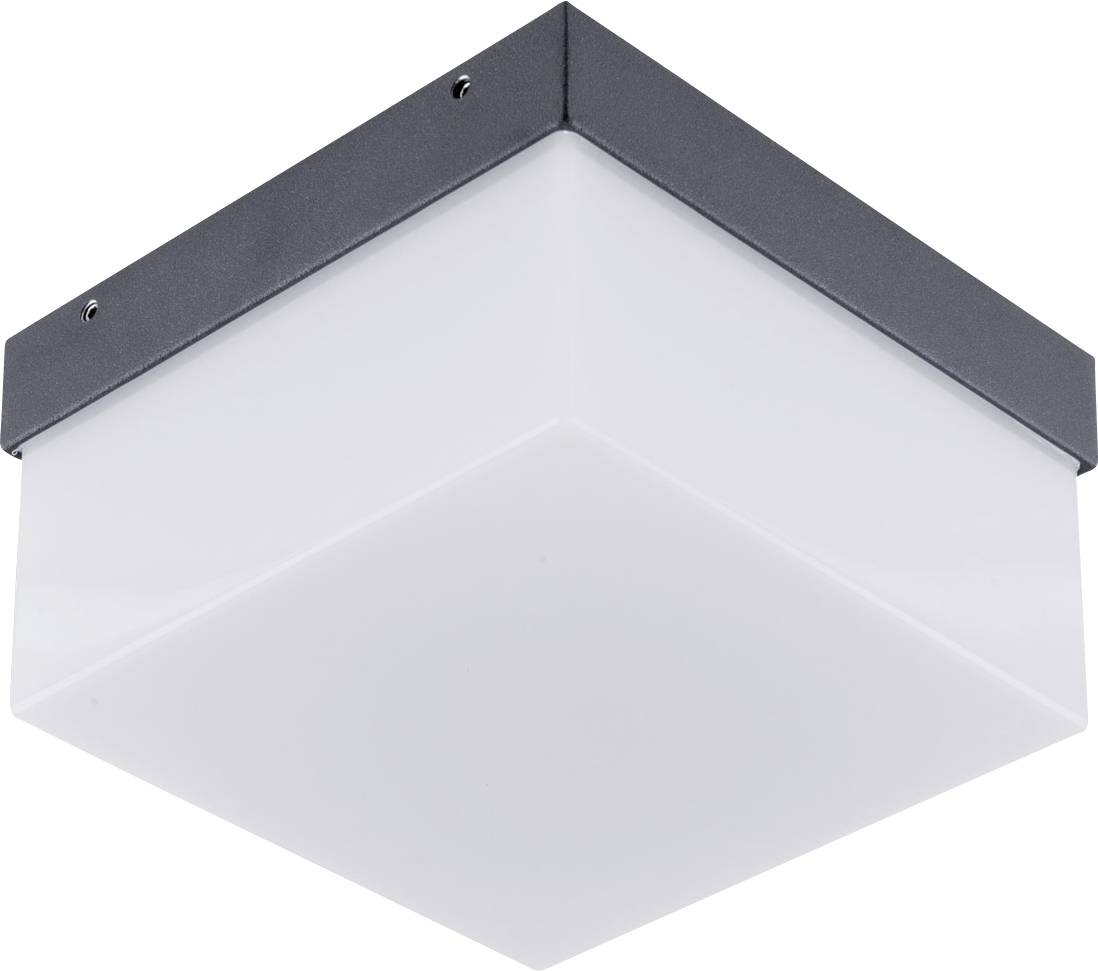 EVN WAQ54091540 WAQ54091540 LED outdoor wall light LED (monochrome) 9 W Anthracite