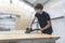 A man is sanding a large wooden board with an electric sanding tool in a workshop.
