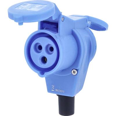 AS Schwabe 60474 CEE elbow connector 16 A 230 V 1 pc(s)-0