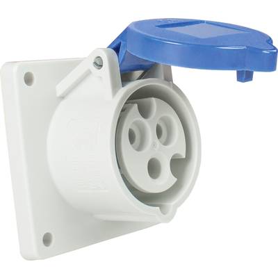 White electrical socket with blue cover, slightly open. The socket is mounted on a white plate.