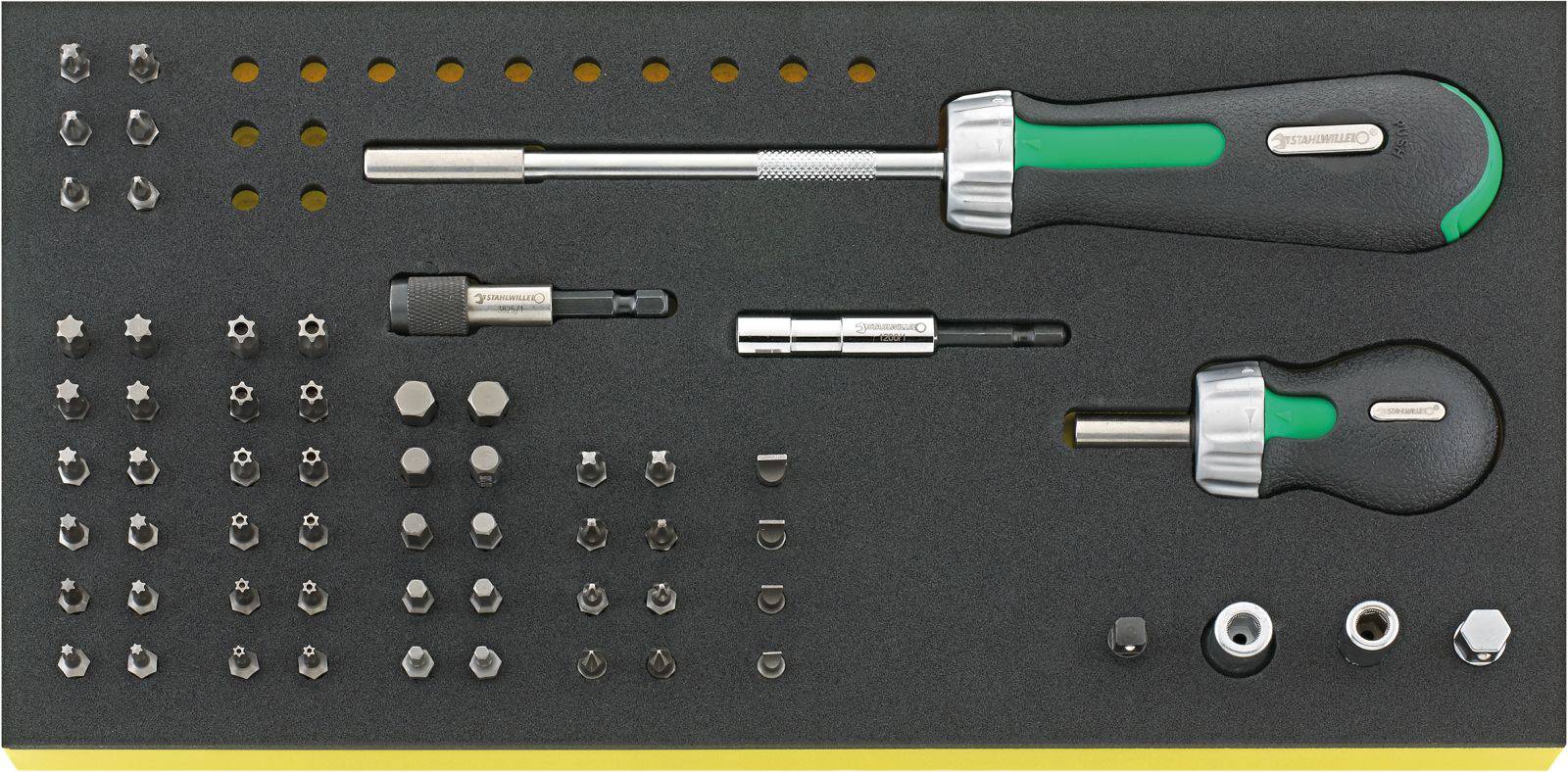 Bit set with various screwdriver bits and handles. Includes Torx, hex and Phillips bits, housed in a foam insert.