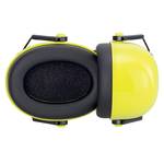 Protective Ear Cap