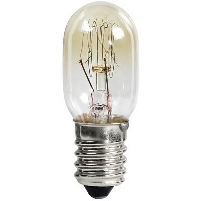 'Close-up of a clear light bulb with an Edison screw thread, showing a fine tungsten filament. Symbol of energy or an idea.'