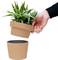 A hand lifts a plant pot containing a green, pointed-leaf plant from another empty, similar pot.