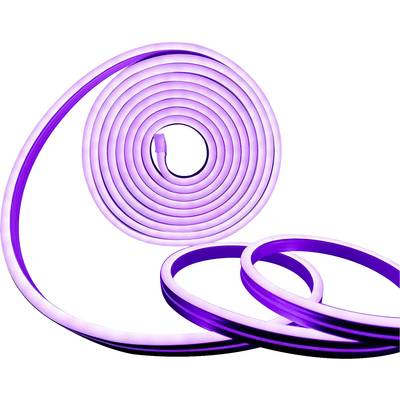 Lila LED neon strip, coiled in a spiral and formed into two open loops, suitable for flexible, decorative lighting design.