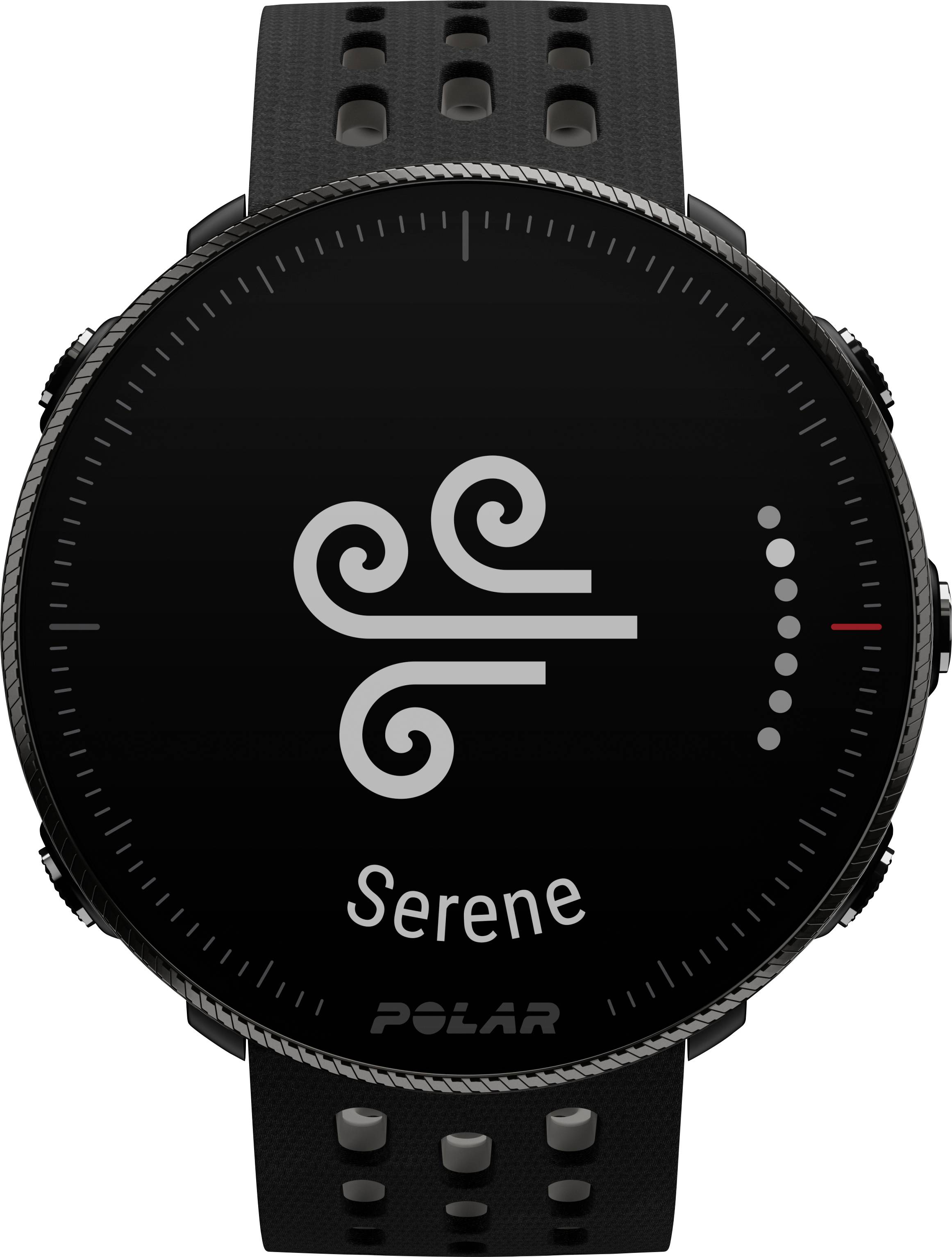 Polar Vantage M2 Smartwatch S/L Black-15