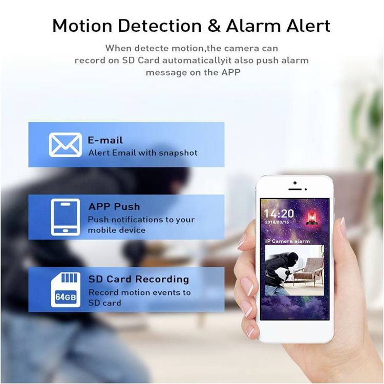 Denver IOC-232 118101110080 LAN, Wi-Fi IP CCTV camera 1920 x 1080 p-11